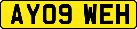 AY09WEH