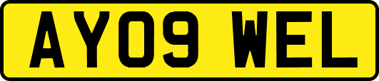 AY09WEL