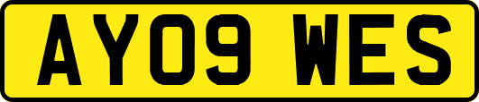 AY09WES