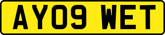 AY09WET