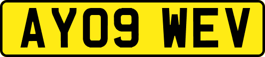 AY09WEV