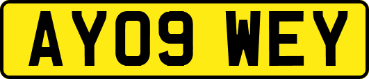 AY09WEY
