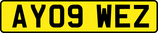 AY09WEZ