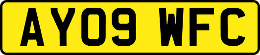 AY09WFC