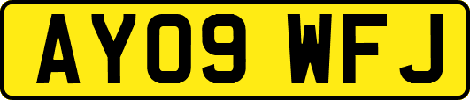 AY09WFJ