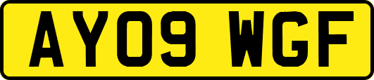 AY09WGF