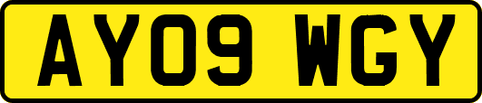 AY09WGY