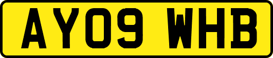 AY09WHB