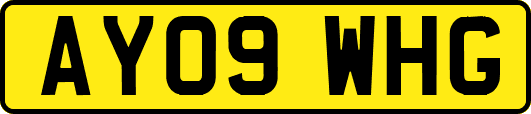 AY09WHG