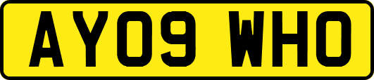 AY09WHO