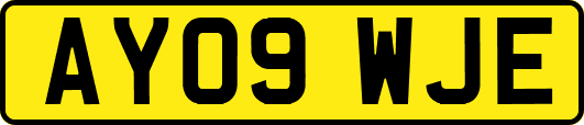 AY09WJE