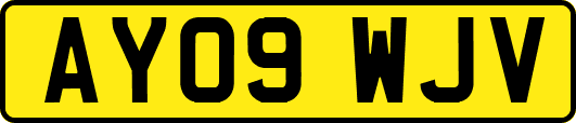 AY09WJV