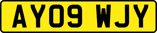 AY09WJY