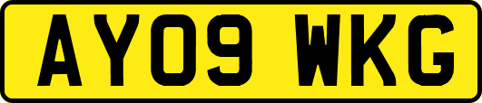 AY09WKG
