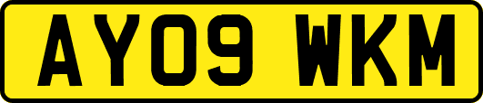AY09WKM