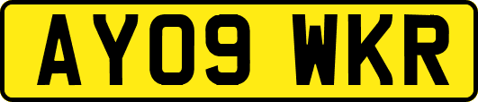 AY09WKR