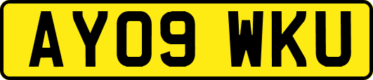 AY09WKU