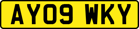 AY09WKY