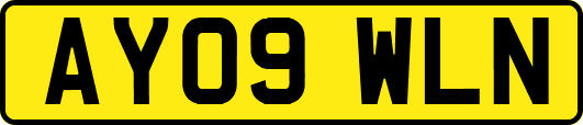 AY09WLN