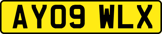 AY09WLX