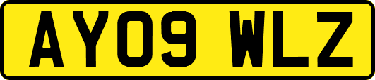 AY09WLZ