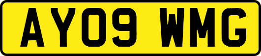 AY09WMG