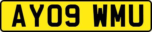 AY09WMU