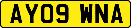 AY09WNA