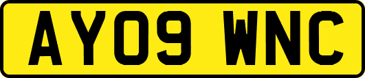 AY09WNC
