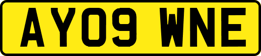 AY09WNE