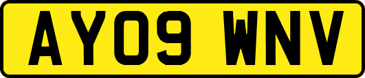 AY09WNV