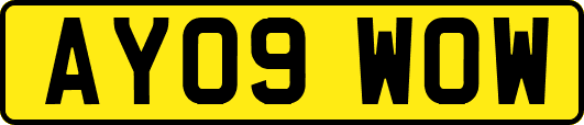 AY09WOW
