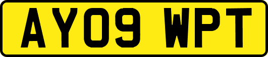 AY09WPT