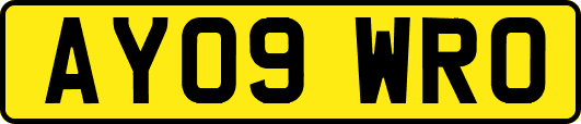 AY09WRO