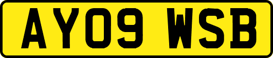 AY09WSB