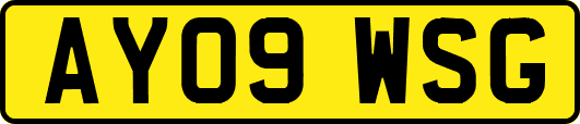 AY09WSG