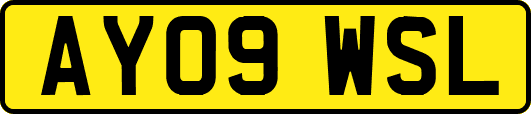 AY09WSL