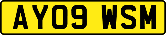 AY09WSM