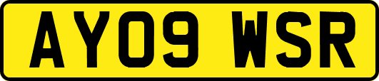 AY09WSR