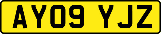 AY09YJZ