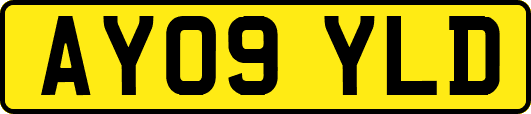 AY09YLD