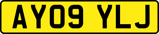 AY09YLJ