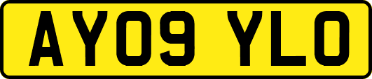 AY09YLO