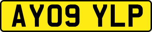 AY09YLP