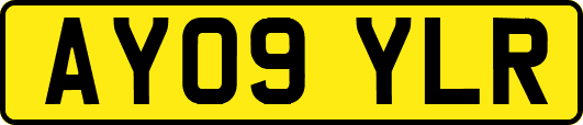AY09YLR