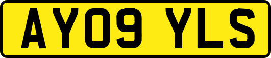 AY09YLS