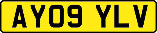 AY09YLV