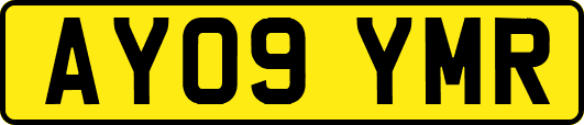 AY09YMR