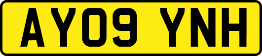 AY09YNH