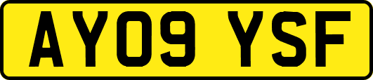 AY09YSF